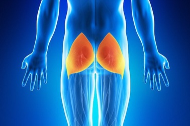 Tại sao ngồi nhiều có thể gây teo cơ?