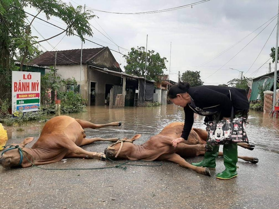 Lũ quét sạch rồi, giờ lấy gì trả nợ nuôi con! - 5 Lũ quét sạch rồi, giờ lấy gì trả nợ nuôi con! - 5