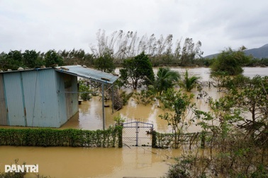 Nước sông dâng trở lại, Gia Lai yêu cầu sơ tán dân khẩn cấp