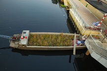 Đêm giao thừa trên ghe của những người mang Tết đến bến Bình Đông