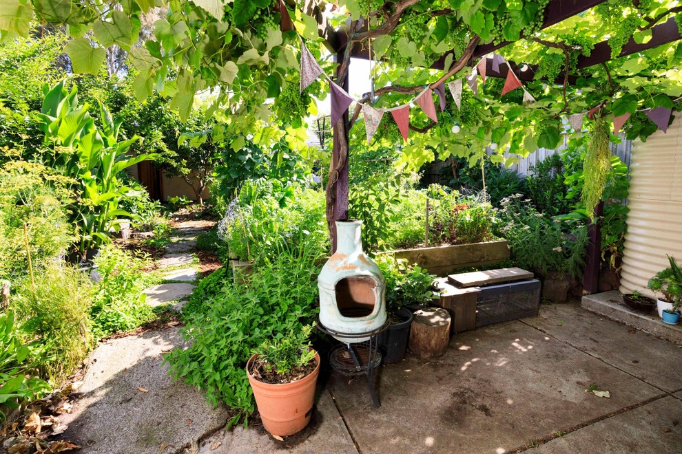 Bí quyết hay của cô gái trẻ sở hữu vườn 30m2 nhưng thu hoạch không xuể - 2