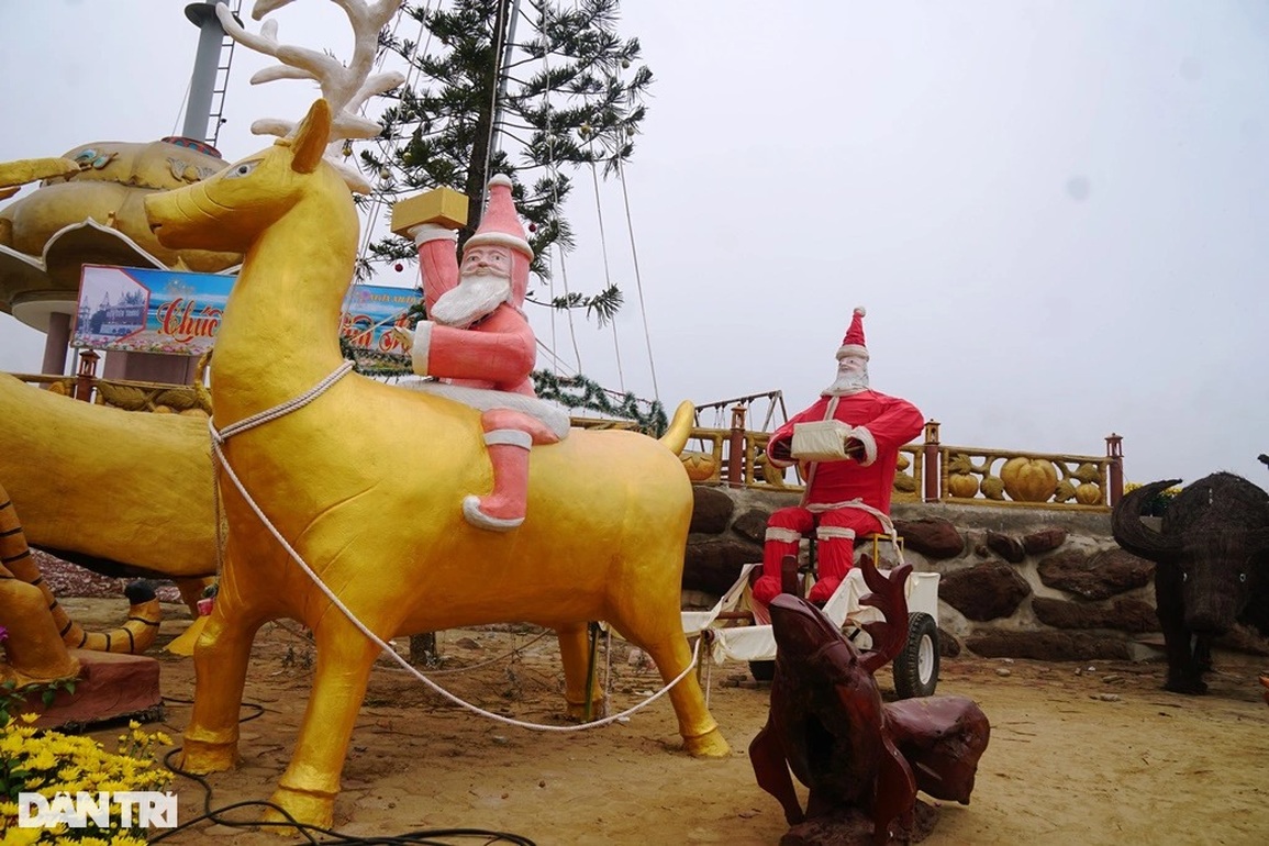 Tượng hổ biểu cảm kỳ lạ nhìn giống 