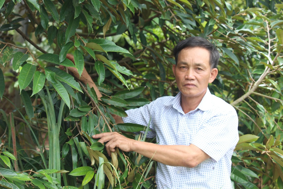 Người trưởng thôn nhiệt huyết “vác tù và” vì xã nghèo - 3 Người trưởng thôn nhiệt huyết “vác tù và” vì xã nghèo - 3