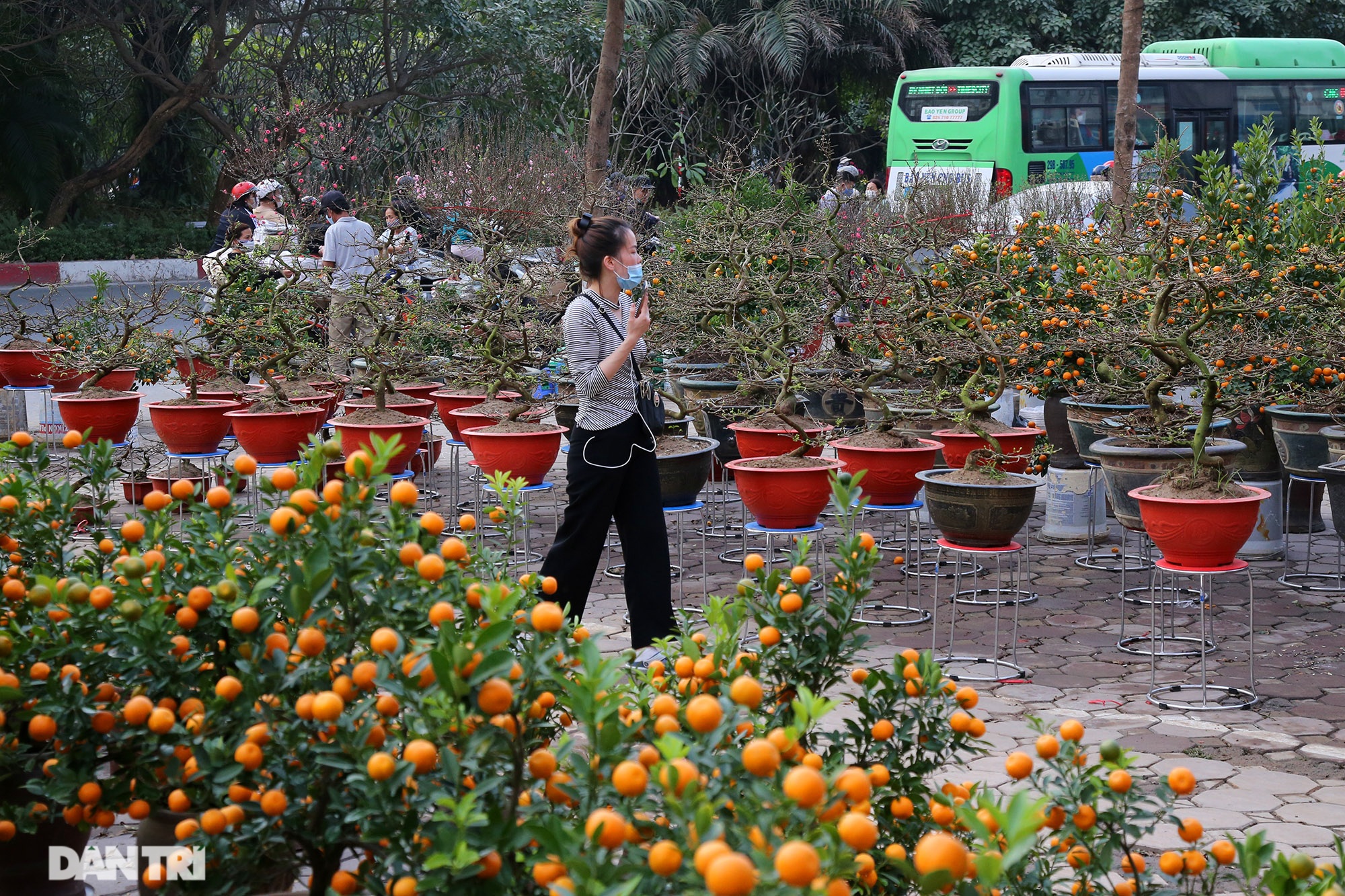 Chợ hoa bày bán trên đường phố Hà Nội đông khách bất chấp dịch Covid-19 - 11 Chợ hoa bày bán trên đường phố Hà Nội đông khách bất chấp dịch Covid-19 - 11