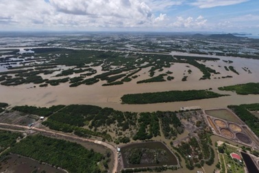 Chiếm hơn 10ha đất đầm Đông Hồ, một phụ nữ bị phạt nửa tỷ đồng