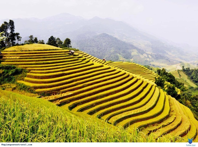 Hà Giang: Tổ chức tuần văn hóa 'Qua những miền di sản ruộng bậc thang Hoàng Su Phì' - Ảnh 1.