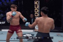 Võ sĩ Việt Nam bị đấm bất tỉnh ở sự kiện quốc tế