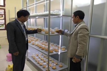 Khoa Công nghệ Môi trường - Trường Đại học Thủ đô Hà Nội đẩy mạnh nghiên cứu khoa học ứng dụng