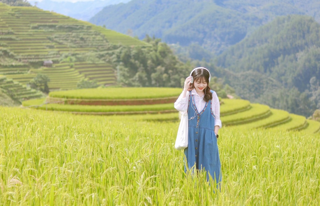 Du khách đổ về mùa vàng Mù Cang Chải, đơn vị lữ hành ào ào chốt tour - 5 Du khách đổ về mùa vàng Mù Cang Chải, đơn vị lữ hành ào ào chốt tour - 5