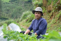 Nâng cao điều kiện sống, khả năng tiếp cận việc làm cho người nghèo