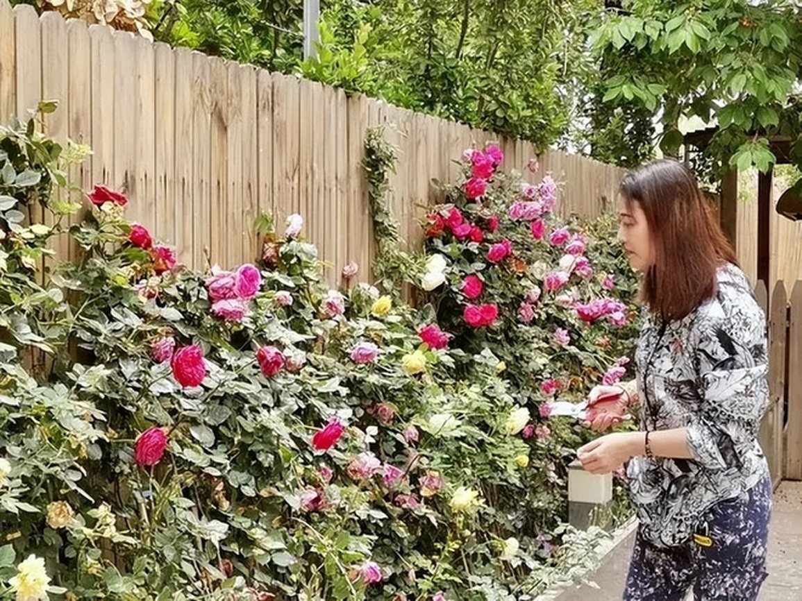 Свободная и легкая жизнь Чау Хай Ми до ее смерти - 5 Cuộc đời tự do tự tại của Châu Hải My trước khi mất - 5