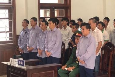 Phá rừng pơ mu ở Nam Giang, cựu phó đồn biên phòng lãnh 4 năm tù