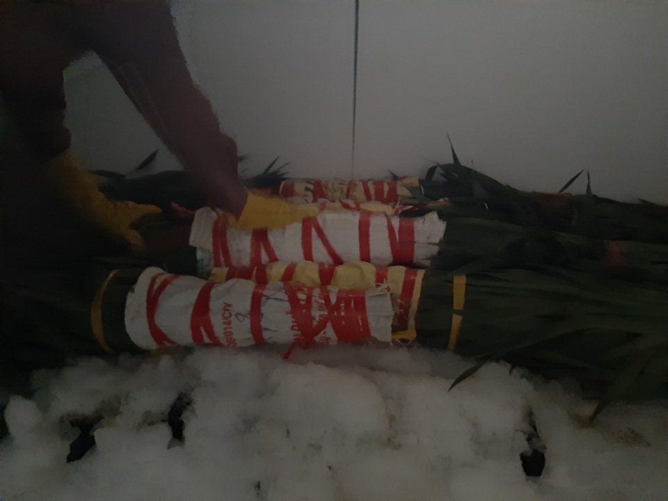 Cho hoa ngủ đông đợi Tết - 4 Cho hoa ngủ đông đợi Tết - 4