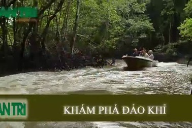 Khám phá Đảo Khỉ- Cần Giờ