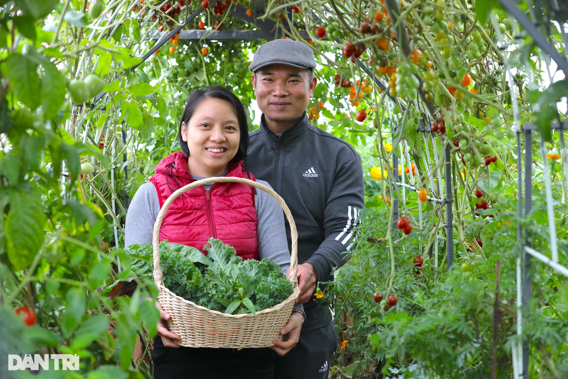 Chi gần tỷ đồng để nuôi cá, trồng rau trên sân thượng giữa lòng Hà Nội - 12