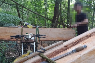 Bị bắt quả tang chở gỗ lậu, lâm tặc hành hung nhân viên bảo vệ rừng