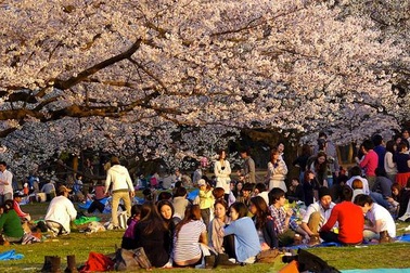 Những lễ hội không thể bỏ qua khi đến Hàn Quốc