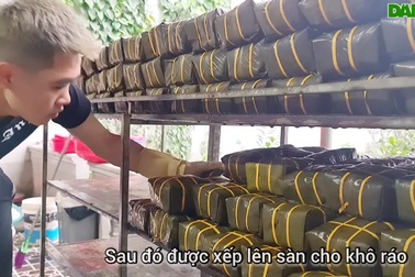 Hối hả những mẻ bánh chưng xanh thành Vinh