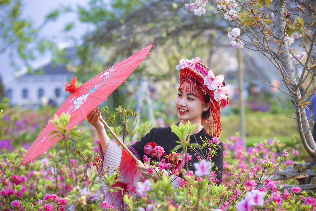 Sun World Fansipan Legend tung khuyến mãi lớn hè này - 3 Sun World Fansipan Legend tung khuyến mãi lớn hè này - 3