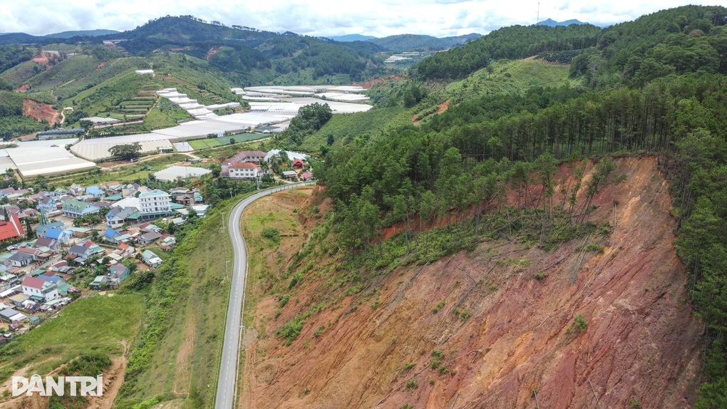 Cơ quan chức năng chỉ đạo xử lý vụ đồi thông sạt lở ở Đà Lạt - 1 Cơ quan chức năng chỉ đạo xử lý vụ đồi thông sạt lở ở Đà Lạt - 1