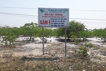 Xã phản ứng doanh nghiệp về xây dựng nhà máy chế biến bột, cát tại Thừa Thiên Huế!