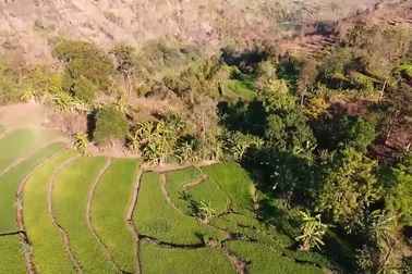 Ngỡ ngàng với vẻ đẹp của ruộng bậc thang và thác Đôi