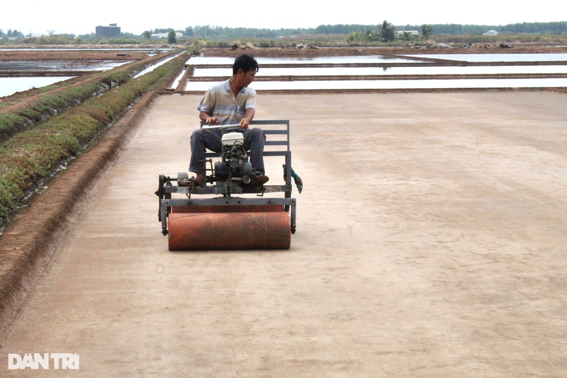 Nghề làm muối: Đang nắng ngon, lỡ mưa một cái xách giỏ về nhà luôn - 4