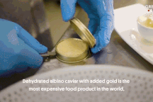 Những thực phẩm sang chảnh đắt hơn vàng, ăn một miếng "mất cả gia tài"
