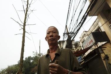 Trơ trọi các tuyến phố thay mới cây xanh