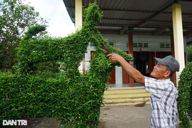 Lão nông suốt 50 năm cắt tỉa vườn cây thành 12 con giáp và rừng chim