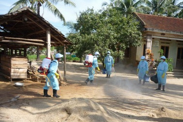 Có tỉnh thành “ăn gian” trong việc công bố dịch lở mồm long móng