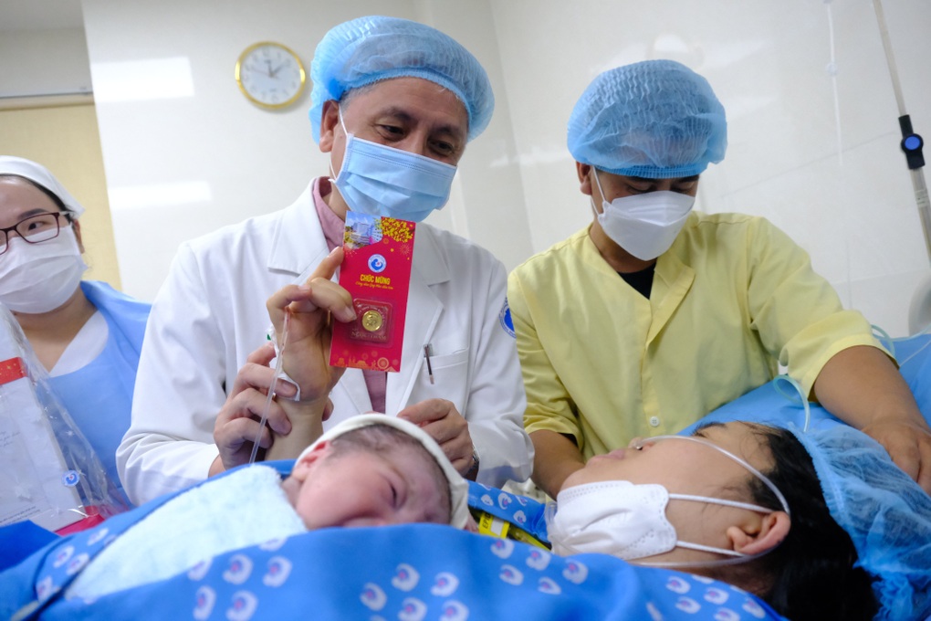 Những em bé mèo con chào đời đúng khoảnh khắc giao thừa - 9 Những em bé mèo con chào đời đúng khoảnh khắc giao thừa - 9