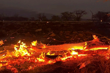 Cháy rừng ở Hawaii: Cảnh đổ nát như bãi chiến trường, 53 người chết