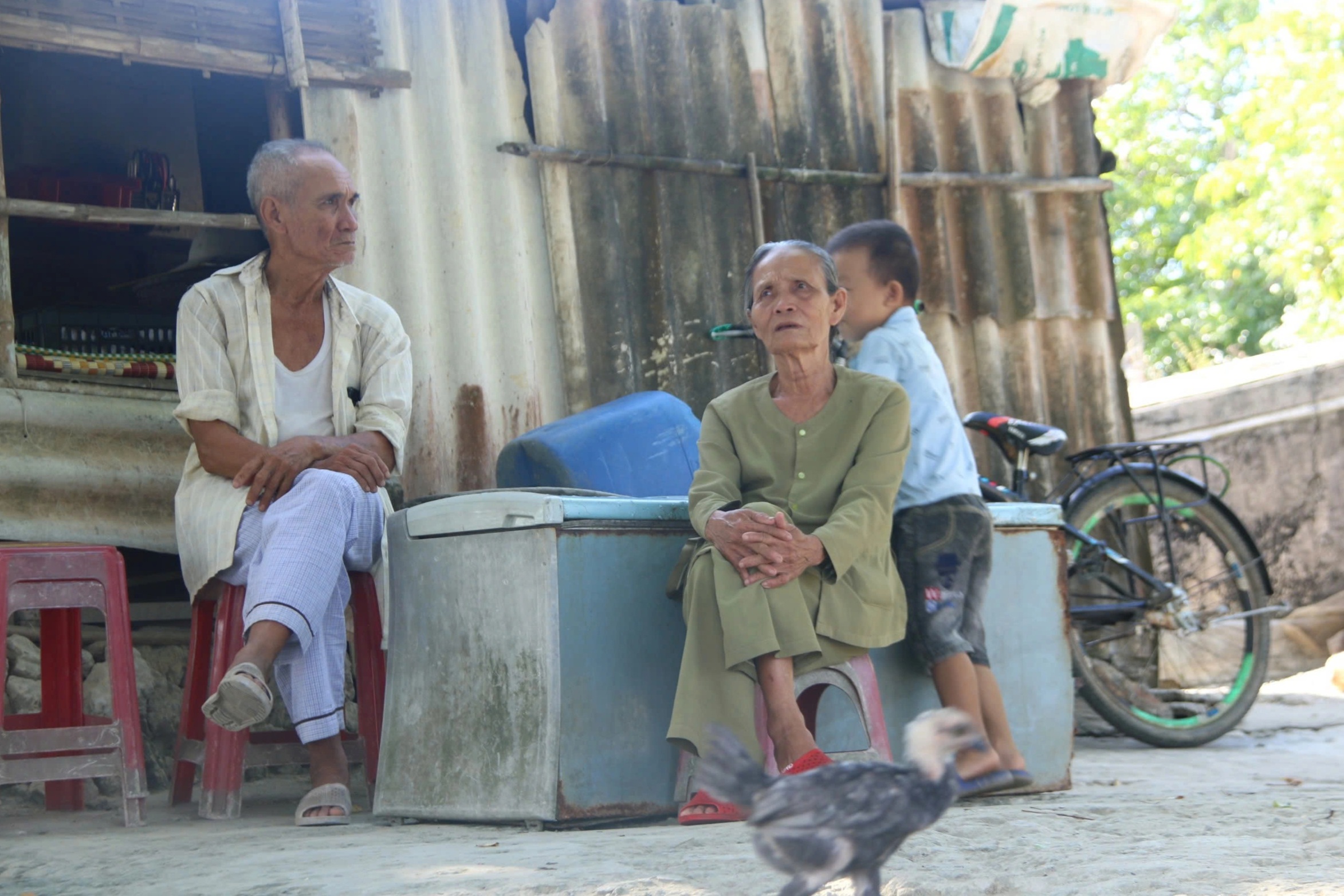 Bên trong khu rừng nguyên sinh duy nhất trên hệ đầm phá Tam Giang - Cầu Hai - 2 Bên trong khu rừng nguyên sinh duy nhất trên hệ đầm phá Tam Giang - Cầu Hai - 2
