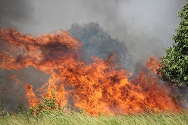 Lửa khói mù trời trong khu công nghiệp vùng ven