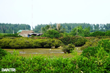 Thái Bình sẽ rà soát việc "xén" khu bảo tồn để xây đô thị