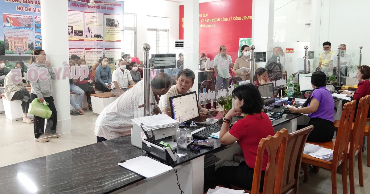 dantri.com.vn