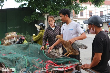 Nuôi vịt 3 tháng, bán sướng tay ngày Tết Đoan Ngọ