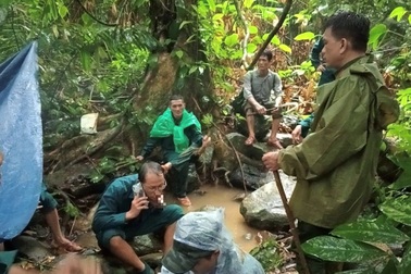 50 người đội mưa bão tìm kiếm người đàn ông mất tích trong rừng