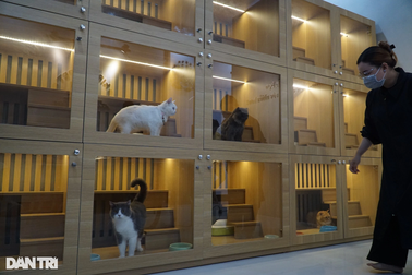 Khởi nghiệp làm khách sạn thú cưng, cô gái Cần Thơ kiếm tiền triệu mỗi ngày