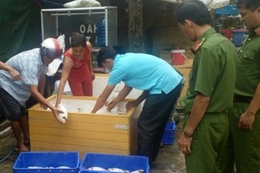 Phát hiện gần 1 tấn cá điêu hồng thối trong quán cơm