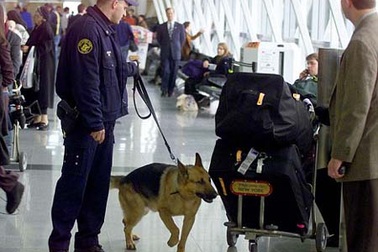 Nhóm khủng bố nguy hiểm hơn IS đe dọa hàng không thế giới