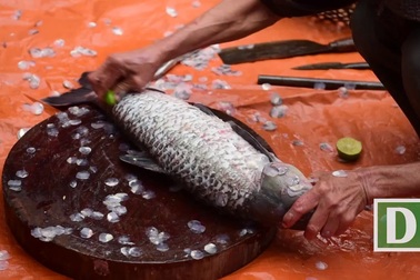 Cá kho làng Vũ Đại nhộn nhịp vào vụ Tết