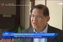 Con đường hội nhập của mía đường đang rộng mở