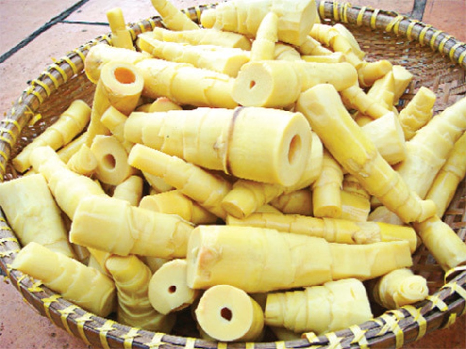Những chất độc từ thức ăn thực vật - 9 Những chất độc từ thức ăn thực vật - 9