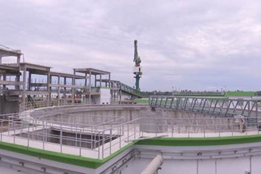 Dừng vận hành thử nghiệm nhà máy giấy Lee & Man