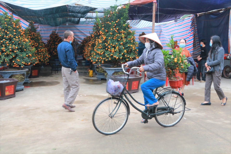 Người dân nô nức rước nàng xuân về nhà khi dịch Covid-19 được khống chế - 13 Người dân nô nức rước nàng xuân về nhà khi dịch Covid-19 được khống chế - 13