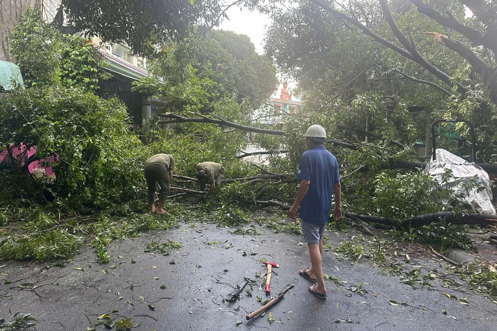 Mưa lớn gây ngã đổ 62 cây xanh, 2 người bị thương tại một phường ở TPHCM - 1 Mưa lớn gây ngã đổ 62 cây xanh, 2 người bị thương tại một phường ở TPHCM - 1