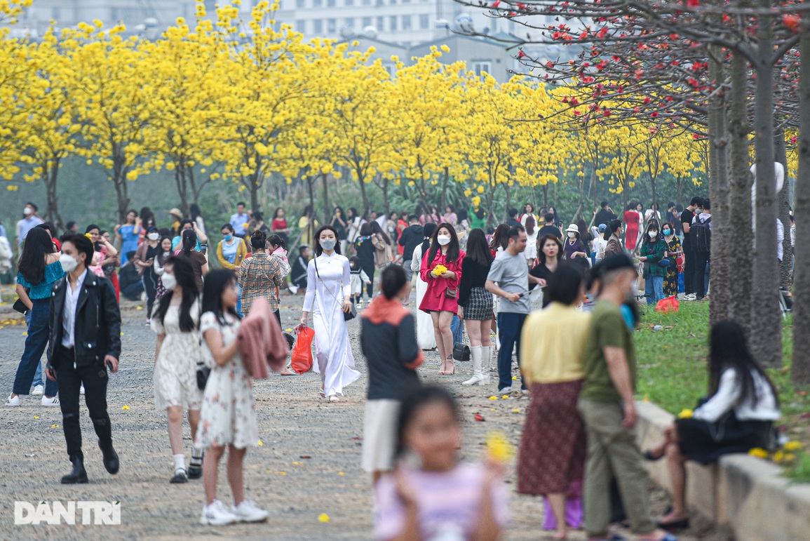 Chen chân chật kín tại con đường hoa phong linh hot nhất Hà Nội - 3 Chen chân chật kín tại con đường hoa phong linh hot nhất Hà Nội - 3