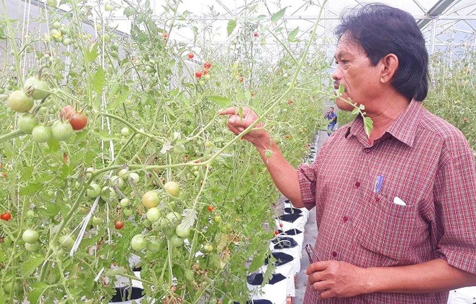 Ông nông dân rót tiền tỷ vào rừng vì một lý do - 1 Ông nông dân rót tiền tỷ vào rừng vì một lý do - 1